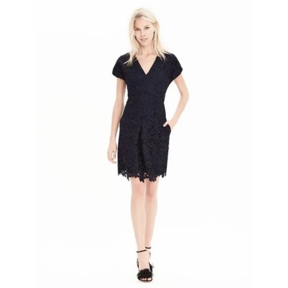Banana Republic V-Neck Lace Dress